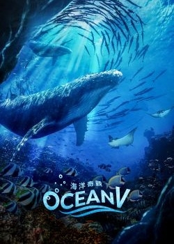 Ocean V