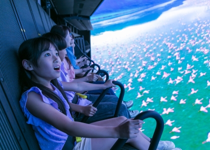 Air Cruise The Ride